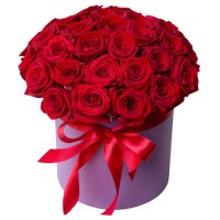 Коробка 25 красных роз
